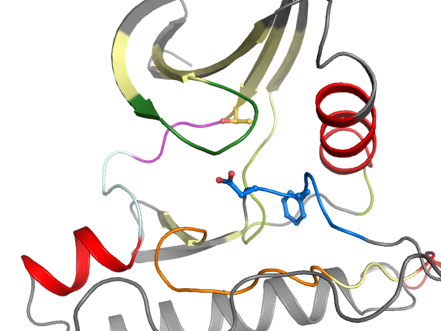 The orthosteric binding pocket