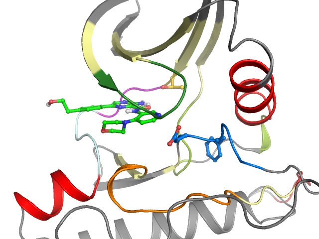 The orthosteric binding pocket