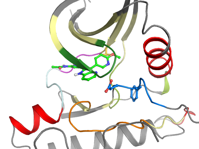 The orthosteric binding pocket