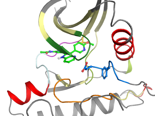 The orthosteric binding pocket