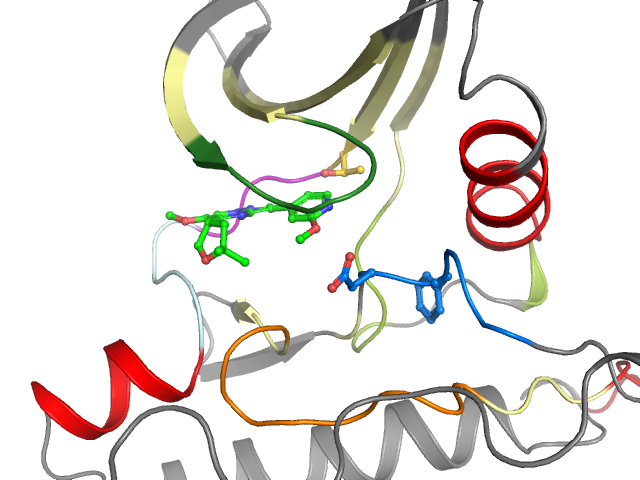 The orthosteric binding pocket