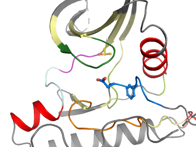 The orthosteric binding pocket