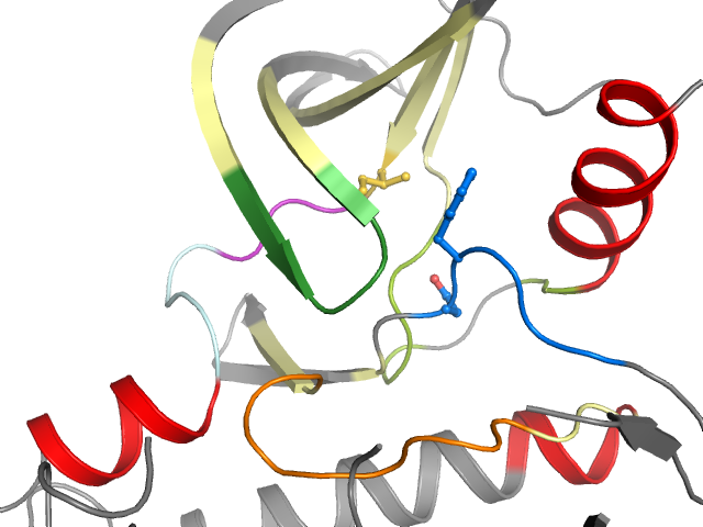 The orthosteric binding pocket