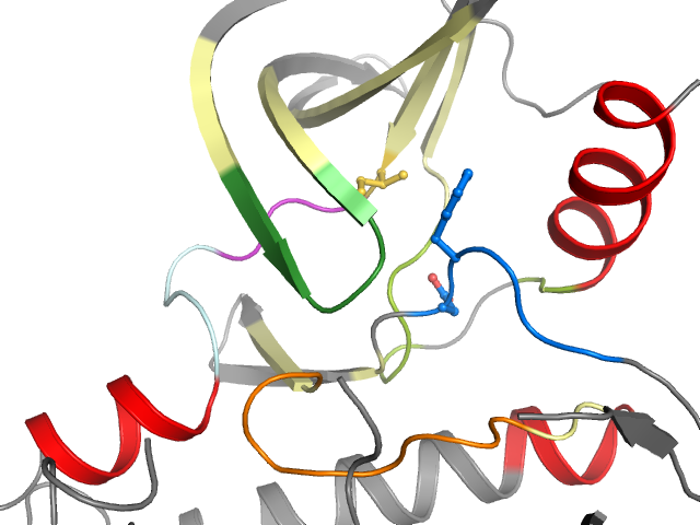 The orthosteric binding pocket