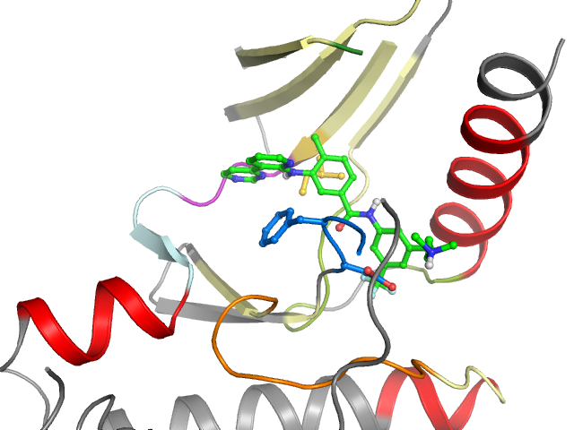 The orthosteric binding pocket