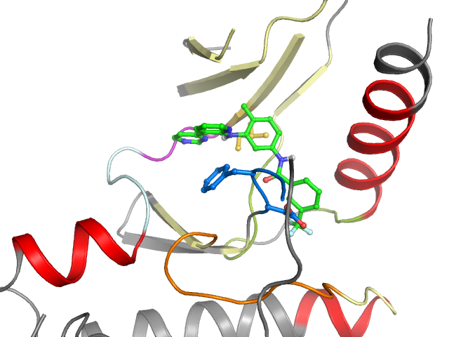 The orthosteric binding pocket