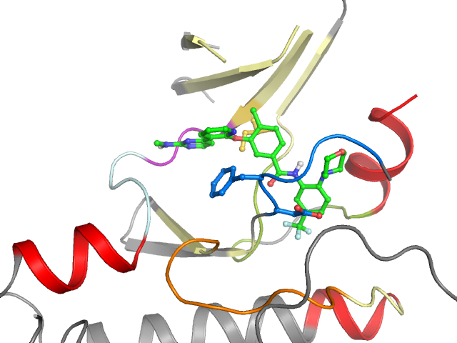 The orthosteric binding pocket