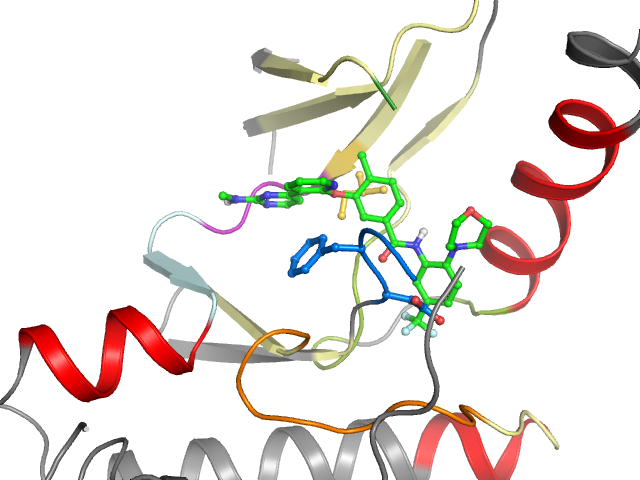 The orthosteric binding pocket