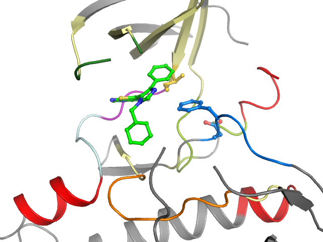 The orthosteric binding pocket