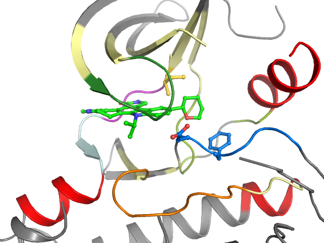 The orthosteric binding pocket
