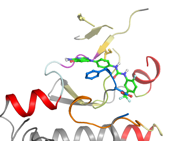 The orthosteric binding pocket