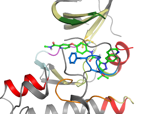The orthosteric binding pocket