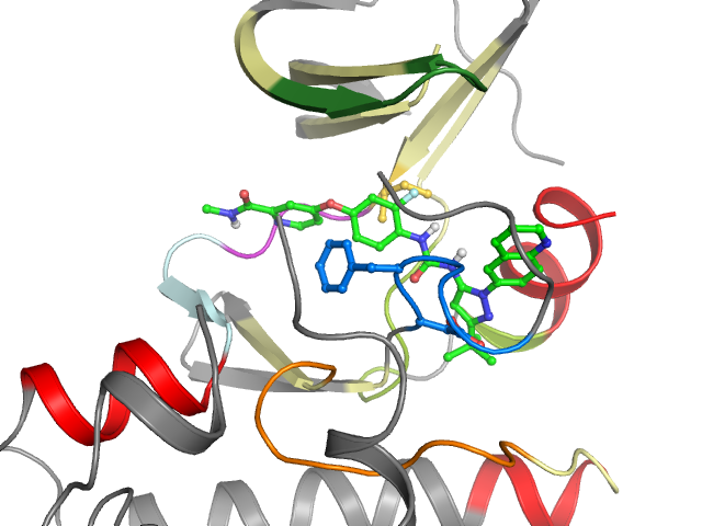 The orthosteric binding pocket