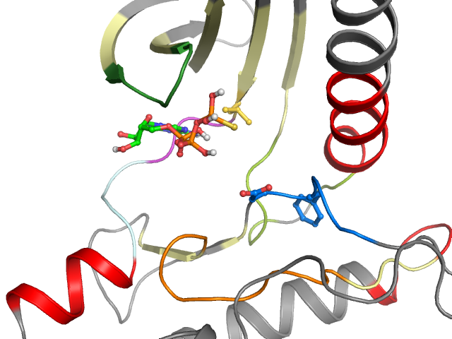 The orthosteric binding pocket