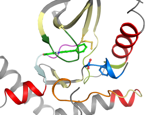 The orthosteric binding pocket