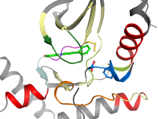The orthosteric binding pocket