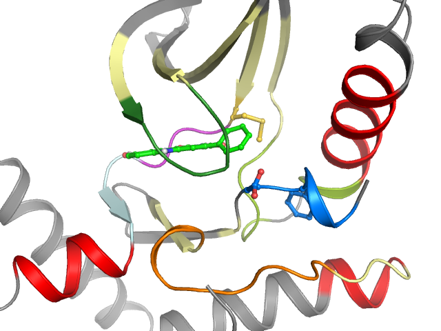 The orthosteric binding pocket