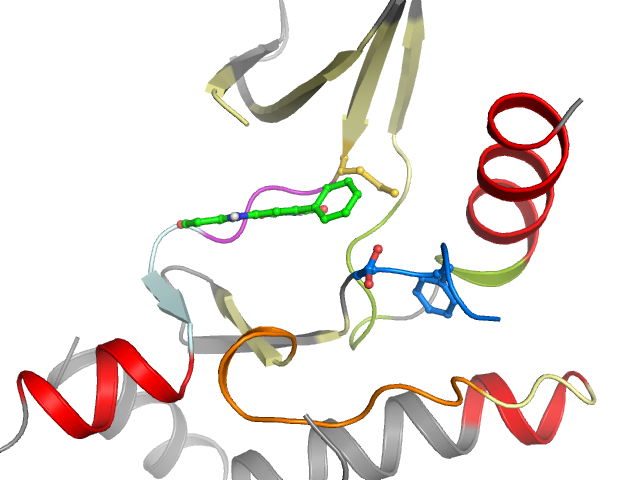The orthosteric binding pocket