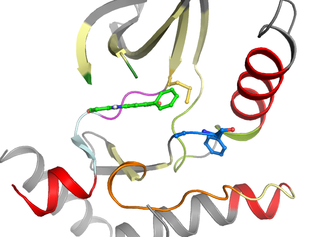 The orthosteric binding pocket