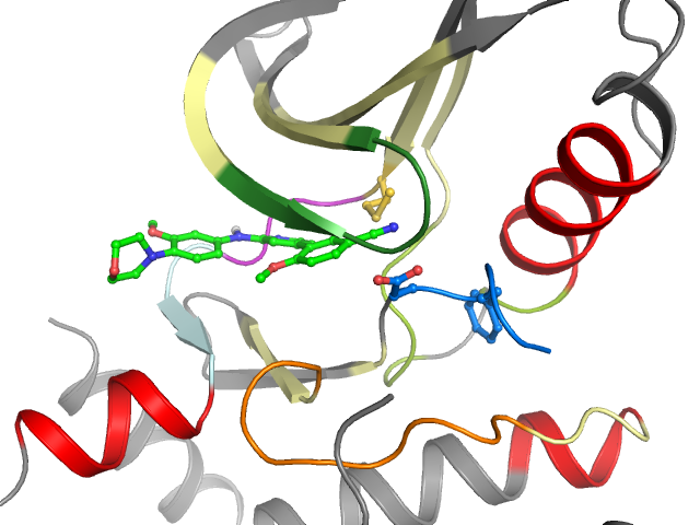 The orthosteric binding pocket