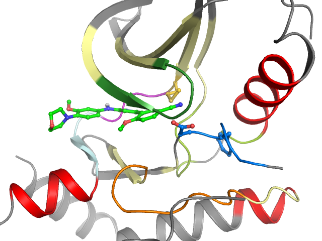 The orthosteric binding pocket