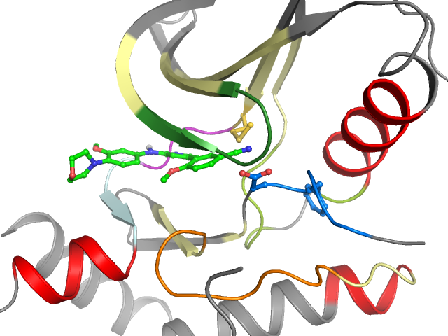 The orthosteric binding pocket