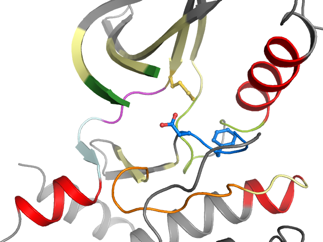 The orthosteric binding pocket