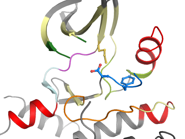 The orthosteric binding pocket