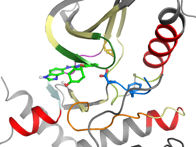 The orthosteric binding pocket