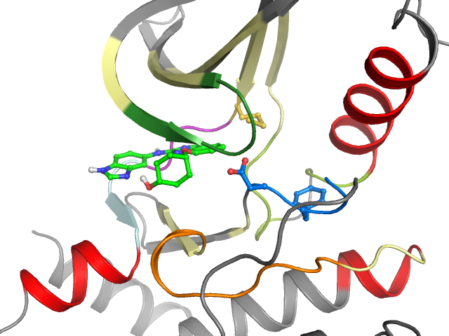 The orthosteric binding pocket