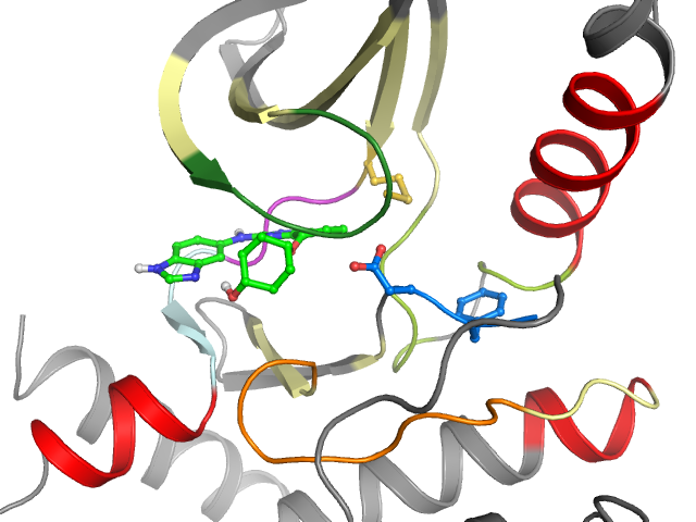 The orthosteric binding pocket
