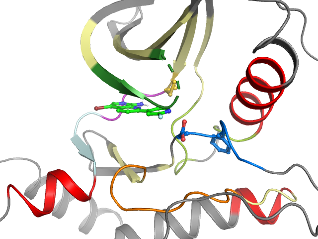 The orthosteric binding pocket