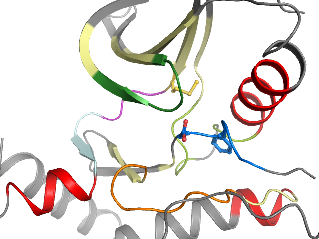 The orthosteric binding pocket
