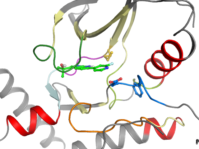 The orthosteric binding pocket