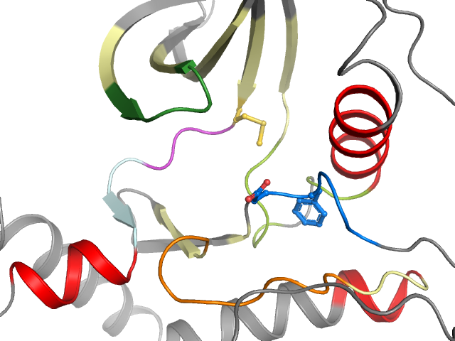 The orthosteric binding pocket