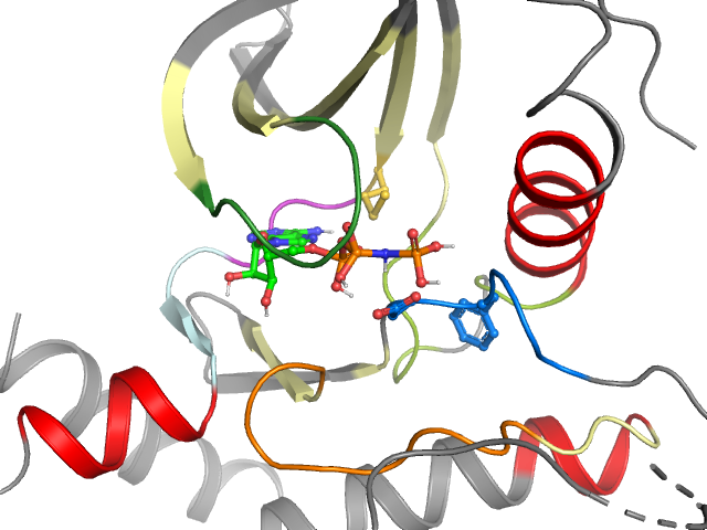The orthosteric binding pocket