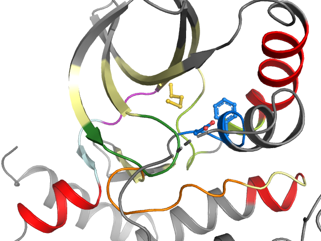 The orthosteric binding pocket