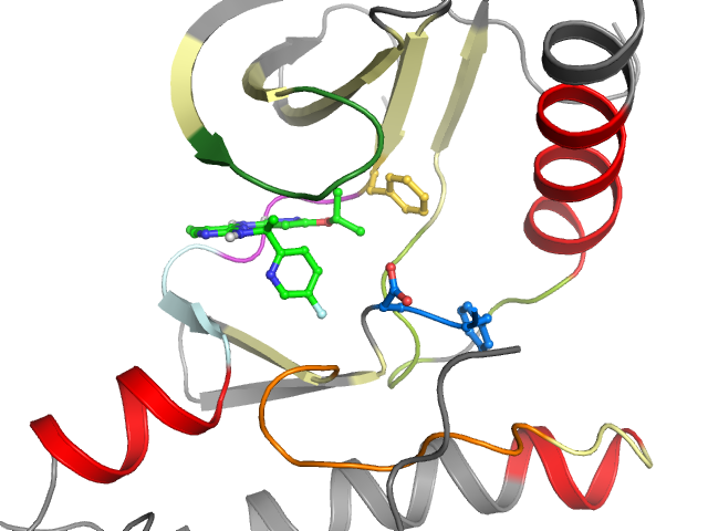 The orthosteric binding pocket