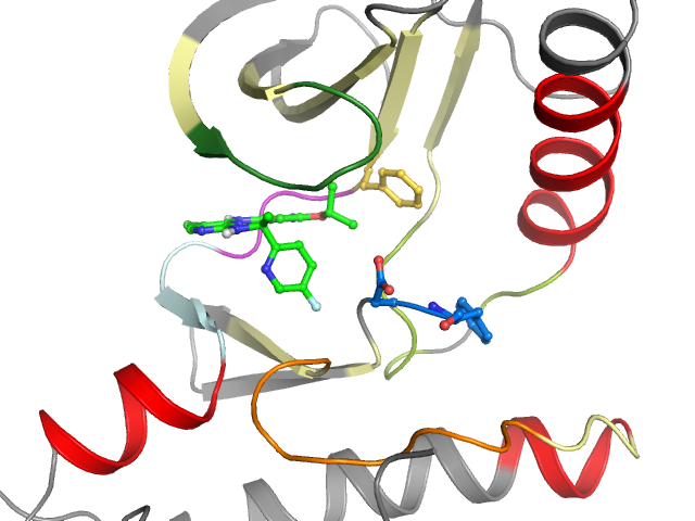 The orthosteric binding pocket