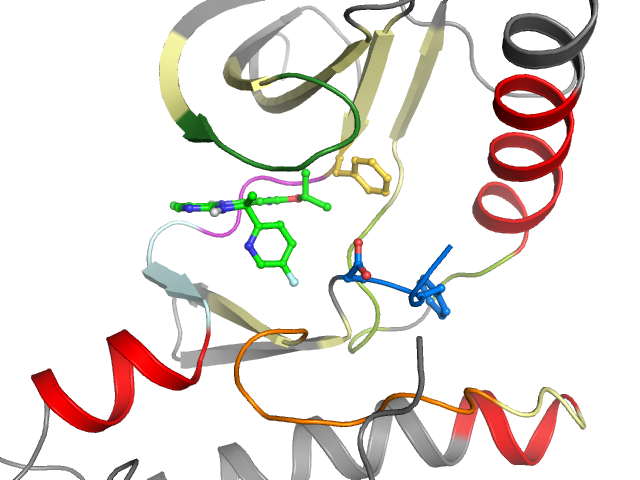 The orthosteric binding pocket