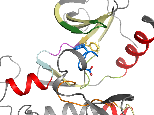 The orthosteric binding pocket