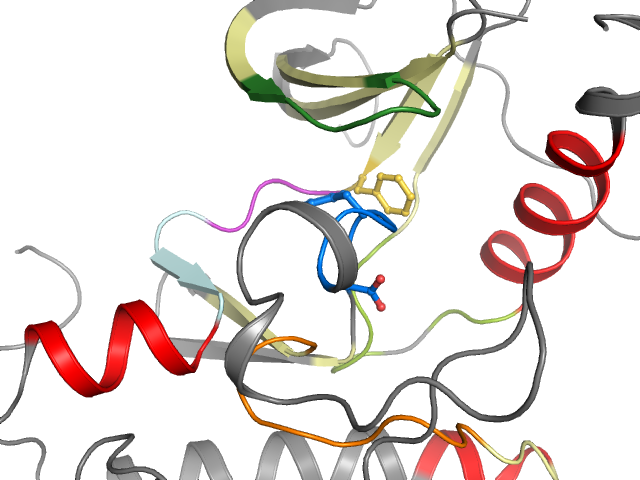 The orthosteric binding pocket