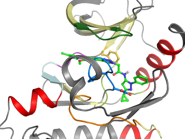 The orthosteric binding pocket