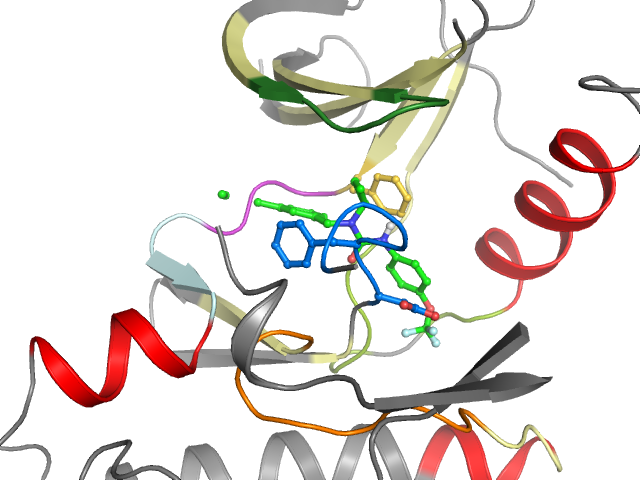 The orthosteric binding pocket