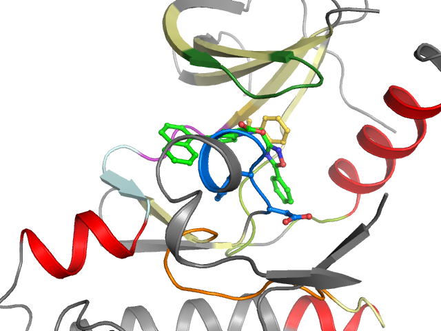 The orthosteric binding pocket