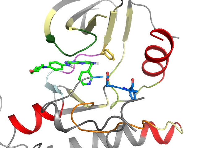 The orthosteric binding pocket