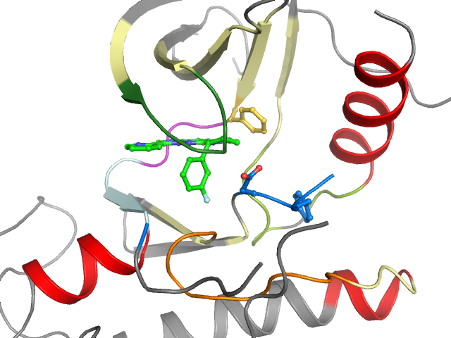 The orthosteric binding pocket