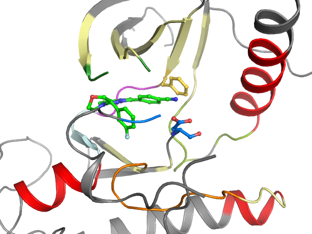 The orthosteric binding pocket