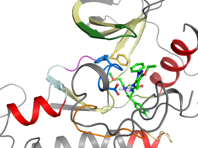 The orthosteric binding pocket