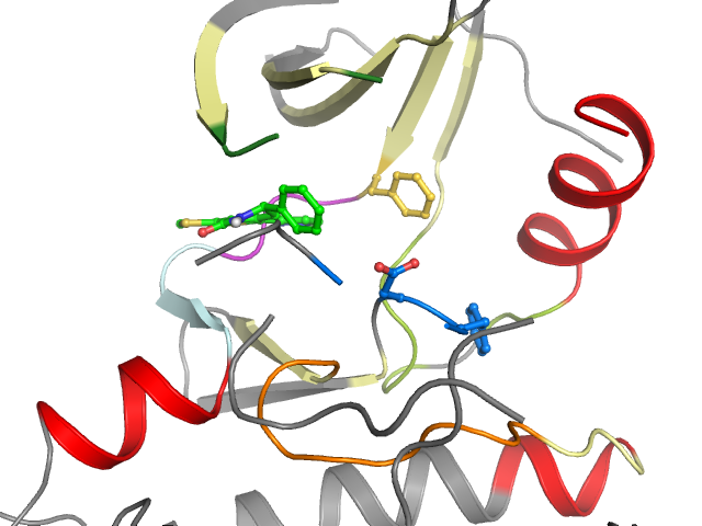 The orthosteric binding pocket